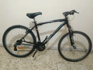 Bicicleta de Montaña
