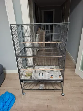 Jaula Grande para Loros/Ninfas