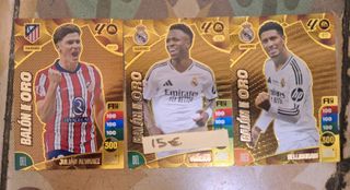 Cromos Adrenalyne MGH 2024/25