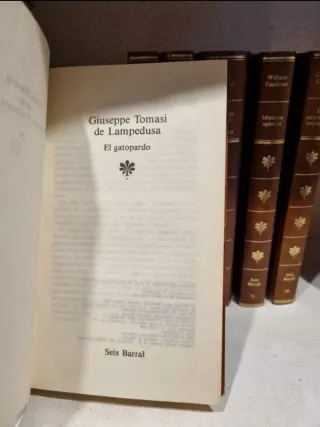 Colección de libros de literatura