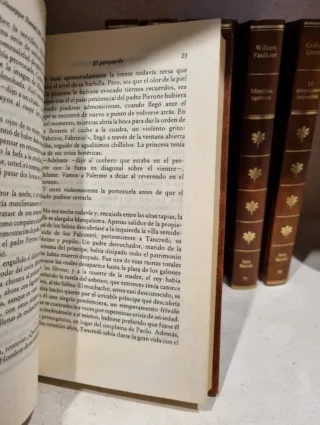 Colección de libros de literatura