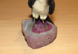 Pájaro ave Brasil piedra mineral natural negro