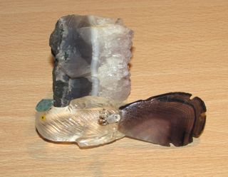 Pájaro ave Brasil piedra mineral natural blanco