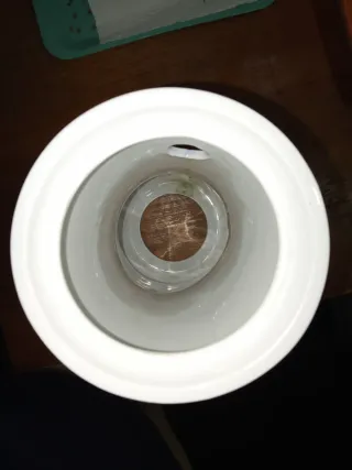 Grifo Cerveza Estrella Galicia Zigurat sargadelos