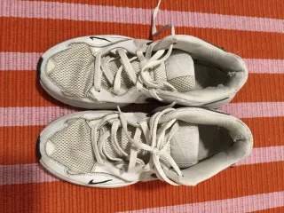 Nike Air Max Talla 45