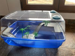 Tortuguera Acuario Plástico Azul Transparente