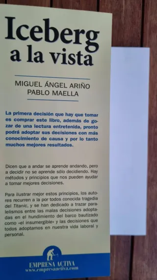 Libro: Iceberg a la vista. Principios para tomar d
