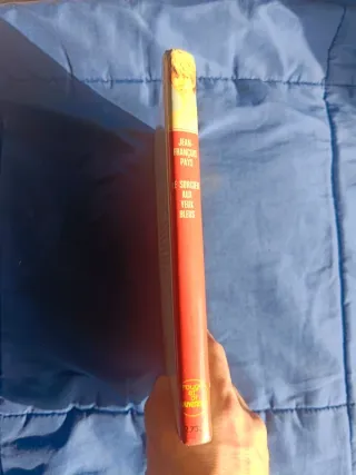 Le sorcier aux yeux bleus Roman