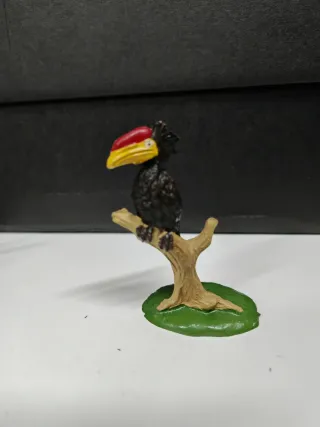 Pájaro Cálao Exótico Jecsan - Historia Natural