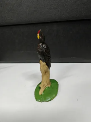 Pájaro Cálao Exótico Jecsan - Historia Natural