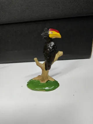 Pájaro Cálao Exótico Jecsan - Historia Natural