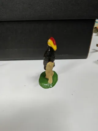 Pájaro Cálao Exótico Jecsan - Historia Natural