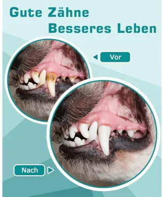 Kit Limpieza Dental Mascota Petbank