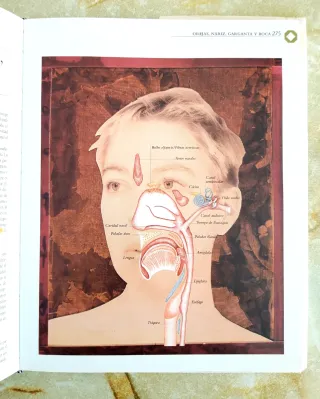 *3×2 Libro 'Enciclopedia familiar de la salud"