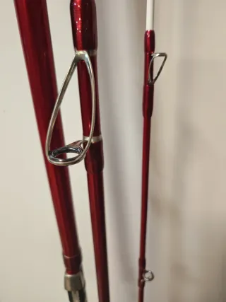 Cañas Daiwa Tournament Caster 1 Híbridas