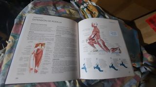 Estiramientos y flexiones