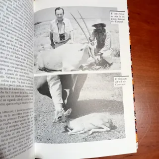 África incierta, recechos de animales raros