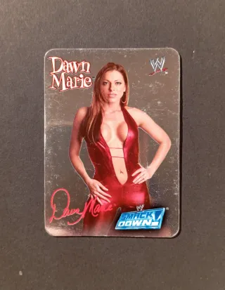 Dawn Marie - WWE © 2004