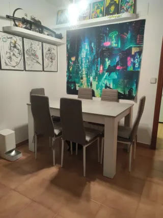 Mesa Rectangular 6/8 Plazas + 6 Sillas