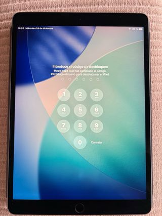 iPad Air 3 256GB Plata Muy Buen Estado