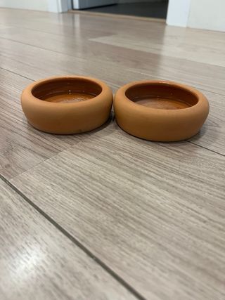 Terrario 30x50 cm para reptiles