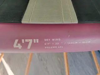 Tabla Wing Fanatic Sky 4'7 (45L)