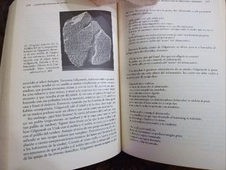 La Historia empieza en Sumer. Testimonios escritos