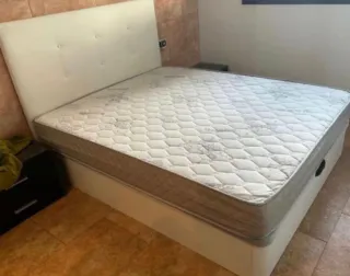 Canape canape canape canape canape canape canape