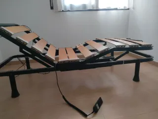 Cama Ortopédica Eléctrica
