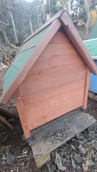 Caseta para perro de madera