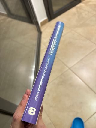 Feminismo para principiantes (Cómic Book) (Span...