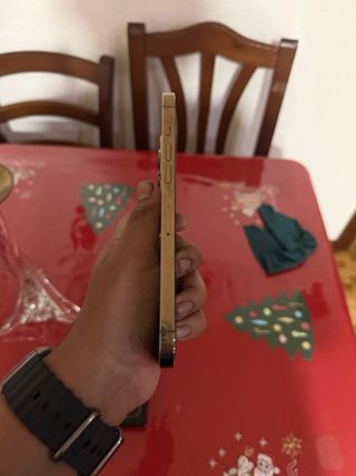 iPhone 12 Pro Max Dorado