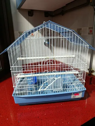 Jaula para pájaros azul y blanca