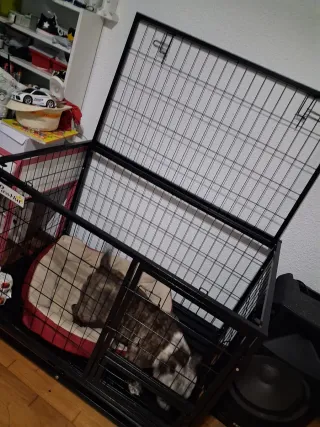 Jaula grande para perro