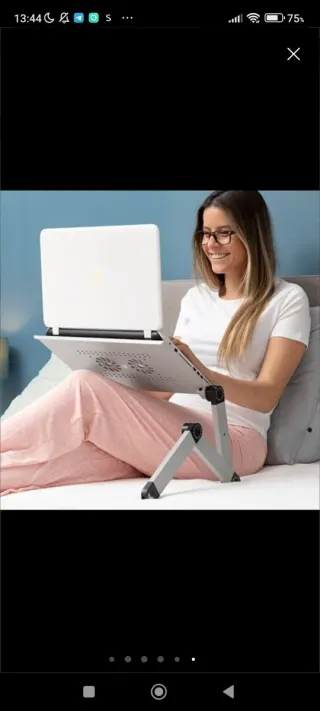 Soporte portátil ajustable