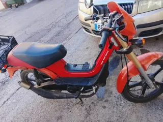 Careta guardabarros Rafael