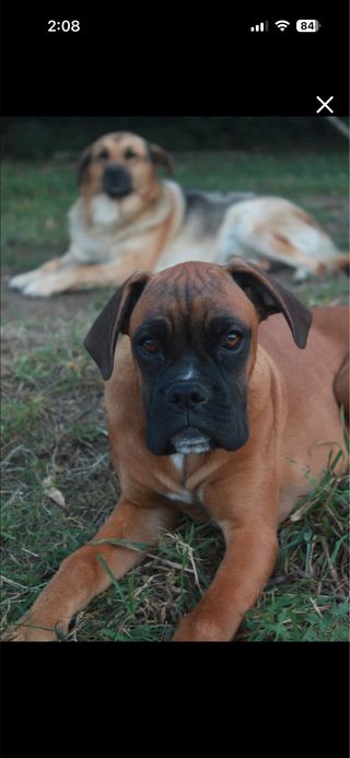 Sony ZV-E10L Cámara Vlog con Objetivo