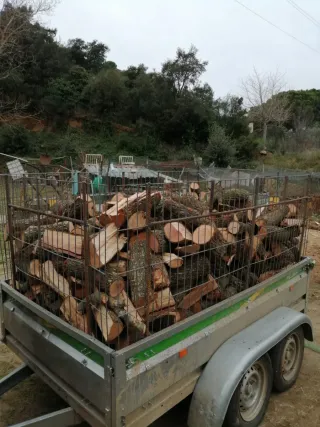Leña de Encina para chimenea/estufa