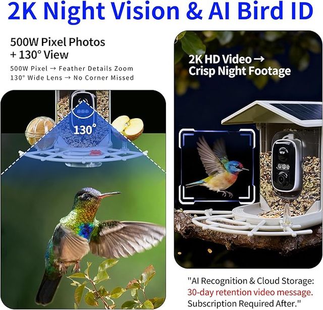 Origem Comedero Pajaros Exterior Camara Solar 1,7l