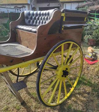 Carruaje Jardinera para caballos