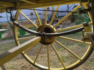 Carruaje Jardinera para caballos