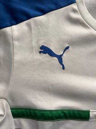 Maglia Allenamento Italia Puma M
