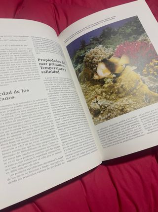 El planeta Tierra en el siglo XXI