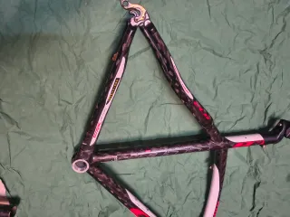 Telaio Bicicletta Carbonio