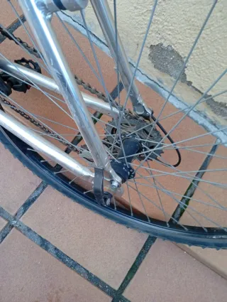 Bicicleta Globe Trotter Alu 726 SX Aluminio