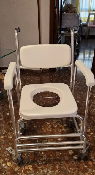 Silla WC con ruedas