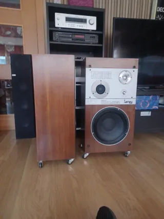 Bafles Seney 12 pulgadas (2 unidades) Altavoces Be