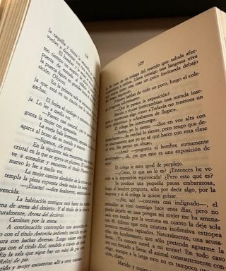 EL ESPEJO EN EL ESPEJO ALI (Spanish Edition)