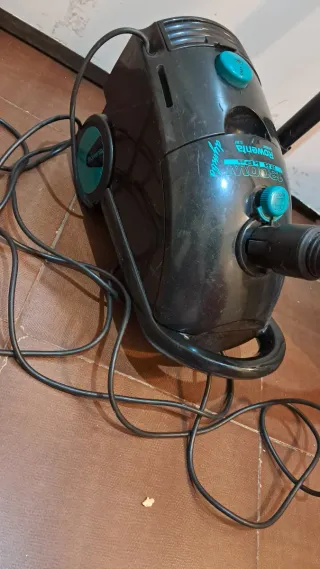 Aspiradora Rowenta Negro/Verde