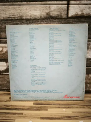 Vinilo Bon Voyage - Mondragon